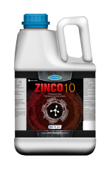 Zinco 10 